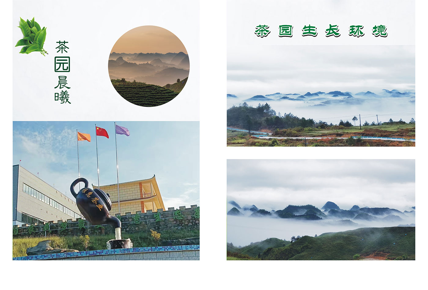 公司簡介